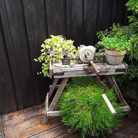 Apartment Am Buchenhain Presseck エクステリア 写真
