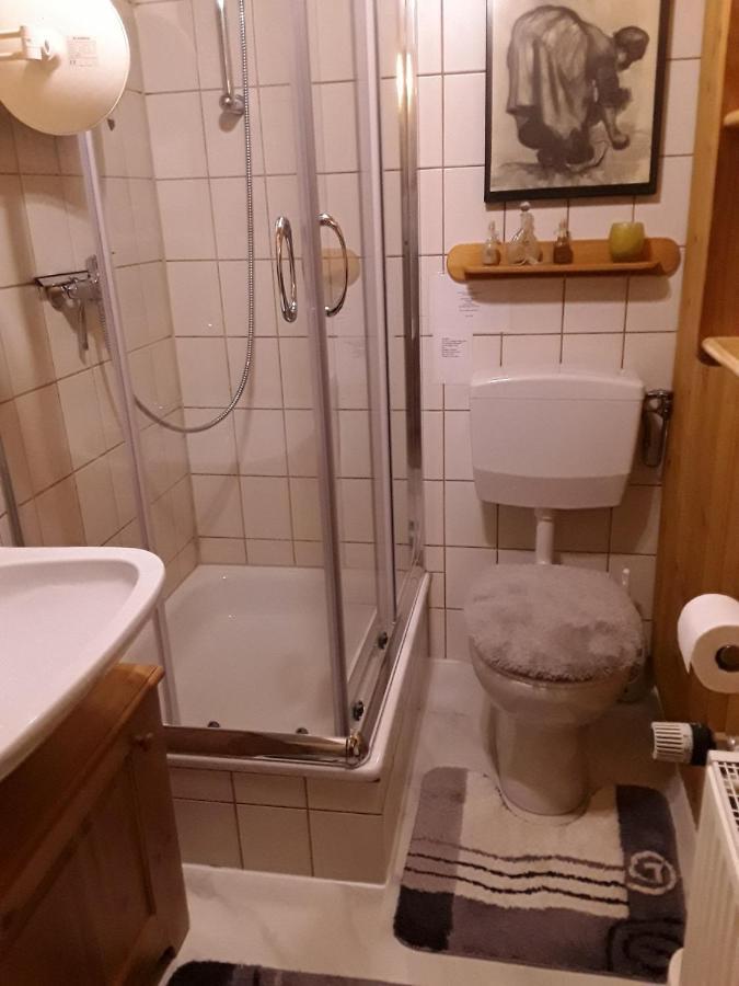 Apartment Am Buchenhain Presseck エクステリア 写真