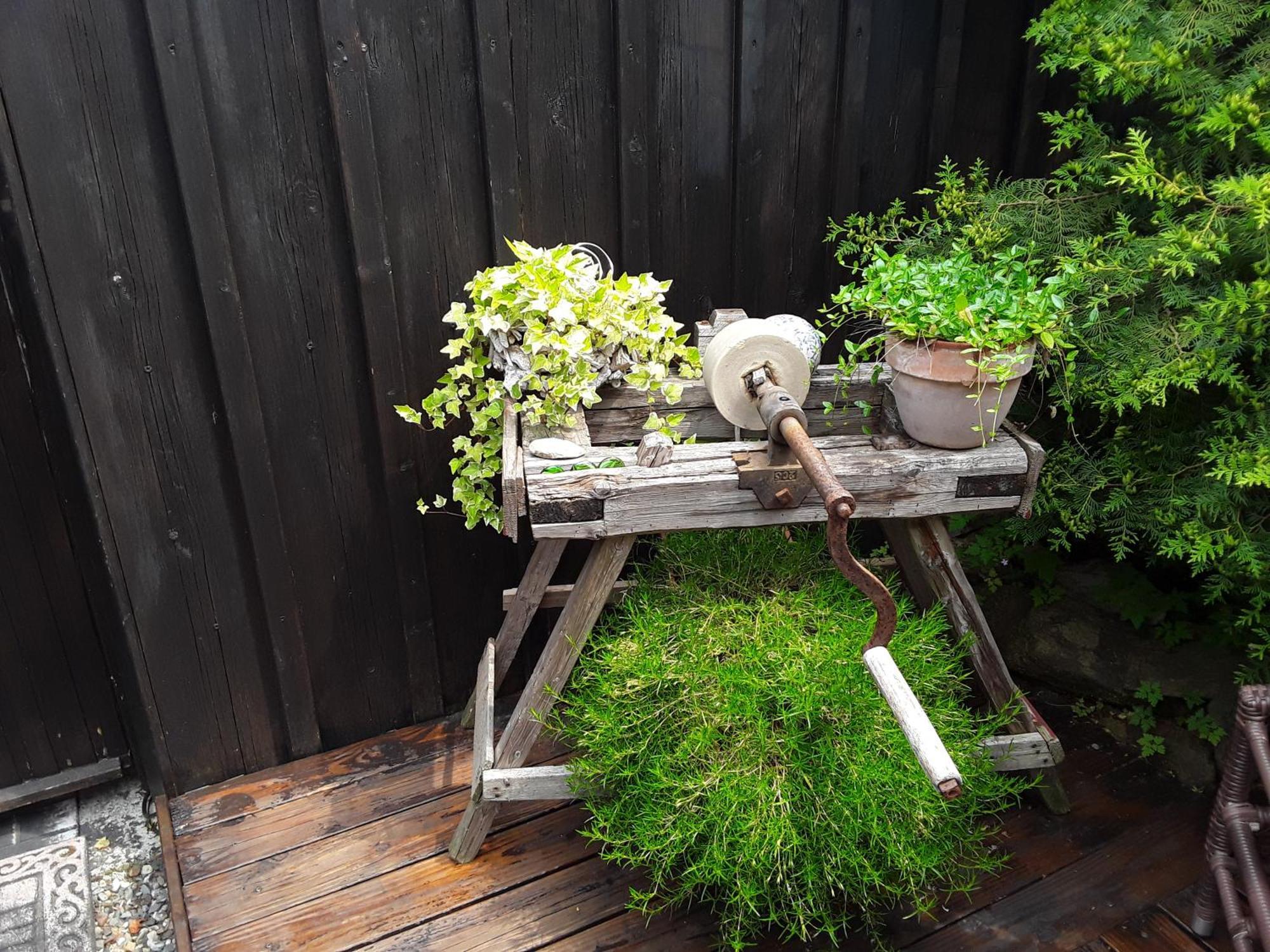 Apartment Am Buchenhain Presseck エクステリア 写真